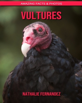 Vultures: Amazing Facts & Photos