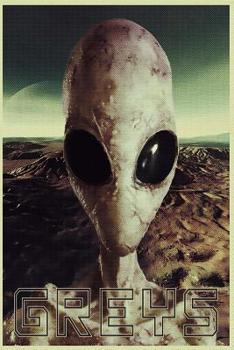 Paperback Greys: Extraterrestrial UFO Aliens Roswell Area 51 Daily Notebook Journal Diary Notepad Book