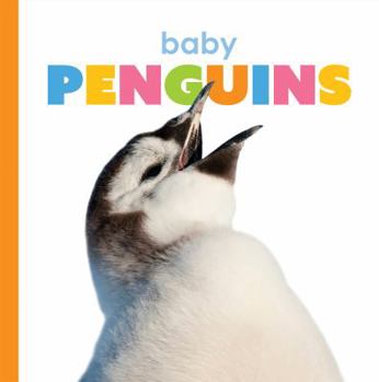 Baby Penguins - Book  of the Starting Out