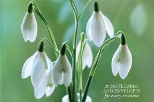 Misc. Supplies Card Box of 20 Notecards and Envelopes: Snowdrop: A Delightful Pack of 20 High-Quality Flower Gift Cards and Decorative Envelopes Book