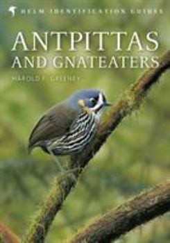 Hardcover Antpittas and Gnateaters Book
