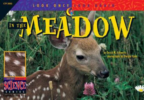 Paperback In the Meadow Book