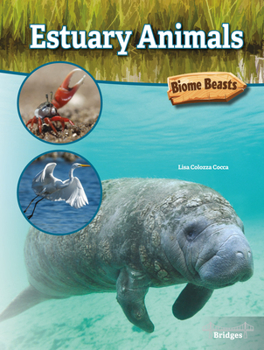 Hardcover Estuary Animals Book