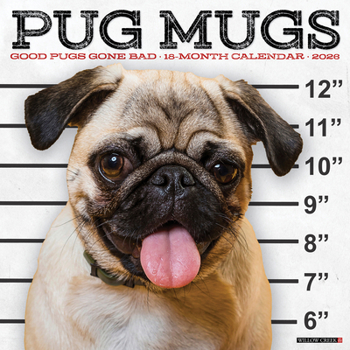 Calendar Pug Mugs 2026 12 X 12 Wall Calendar Book