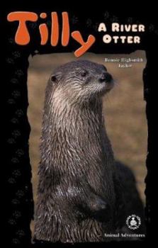 Library Binding Tilly: A River Otter Book