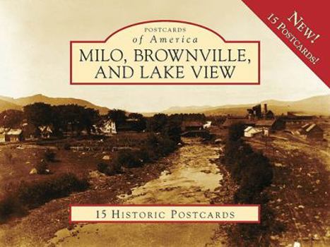 Ring-bound Milo, Brownville, and Lake View Book