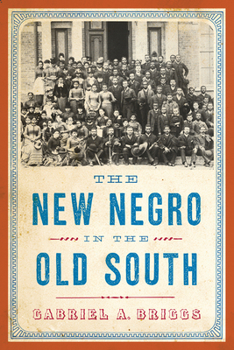 Hardcover The New Negro in the Old South Book