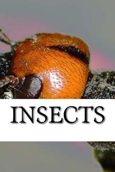 Paperback Insects Book