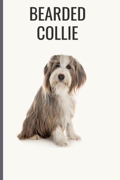 Paperback Bearded Collie: Bearded Collie Notebook with More Bearded Collies Inside - Unique Journal For Proud Dog Owners, Dads - 120 Pages Blank Book