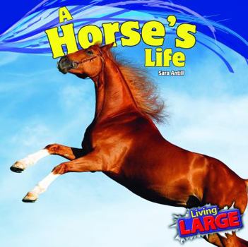 A Horse's Life - Book  of the Living Large