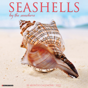 Calendar Seashells 2022 Wall Calendar Book