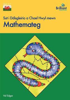 Paperback Sut I Ddisgleirio Chael Hwyl Mewn Mathemateg [Welsh] Book