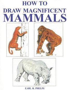 Paperback How to Draw Magnificent Mammals Book