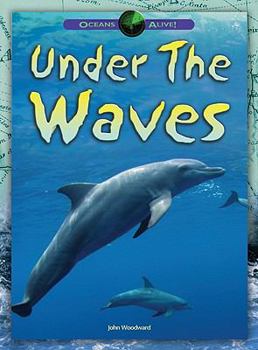 Library Binding Under the Waves Book