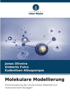 Paperback Molekulare Modellierung [German] Book