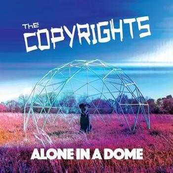 Vinyl Alone In A Dome Book