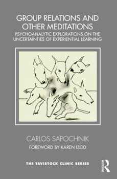 Paperback Group Relations and Other Meditations: Psychoanalytic Explorations on the Uncertainties of Experiential Learning Book