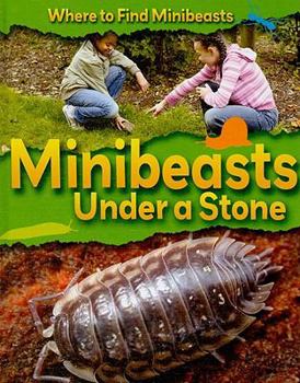 Library Binding Minibeasts Under a Stone Book