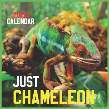 Paperback Just CHAMELEON CALENDAR 2022: Official Chameleons Calendar 2022,12 Months, Square Calendar 2022 Book