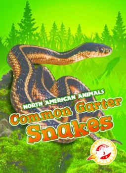 Library Binding Common Garter Snakes Book