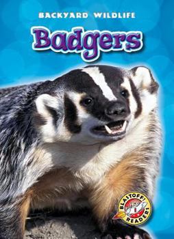 Badgers - Book  of the Backyard Wildlife