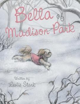 Paperback Bella of Madison Park Book