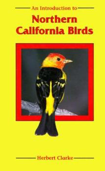 Paperback An Introduction to Northern California Birds Book