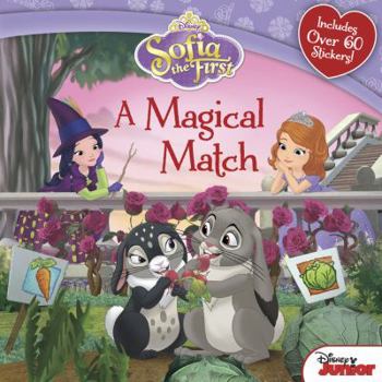 Paperback Sofia the First a Magical Match Book