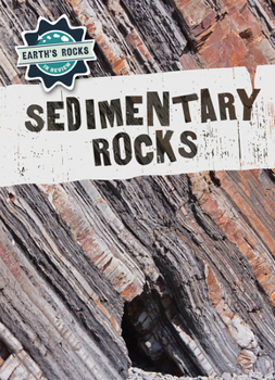 Paperback Sedimentary Rocks Book
