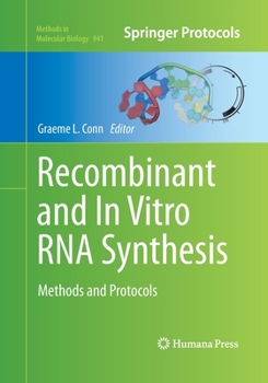 Paperback Recombinant and in Vitro RNA Synthesis: Methods and Protocols Book
