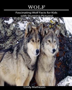 Wolf: Fascinating Wolf Facts for Kids with Stunning Pictures!