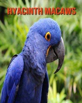 Paperback Hyacinth Macaws: Amazing Facts about Hyacinth Macaws Book
