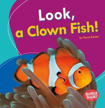 Look, a Clown Fish! - Book  of the I See Ocean Animals