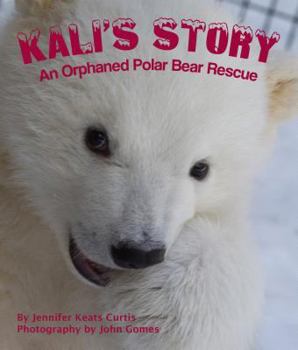Hardcover Kali's Story: An Orphaned Polar Bear Rescue Book