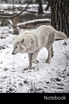 Notebook: Polarwolf, Lobo, Desierto, Blanco Cuaderno / Diario / Libro de escritura / Notas - 6 x 9 pulgadas (15.24 x 22.86 cm), 110 páginas, superficie brillante.