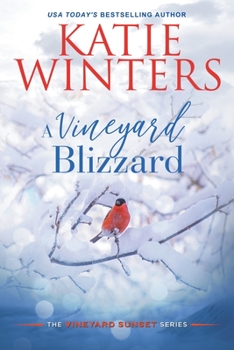 Paperback A Vineyard Blizzard Book