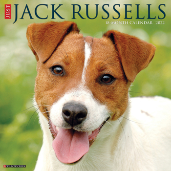 Calendar Just Jack Russells 2022 Wall Calendar (Dog Breeds) Book