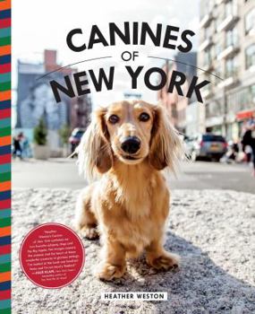 Hardcover Canines of New York Book