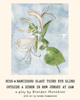 Paperback Echo and Narcissus Blast Third Eye Blind Outside A Diner in New Jersey at 2AM [Expanded Edition] Book