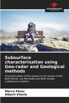 Paperback Subsurface characterisation using Geo-radar and Geological methods Book