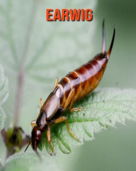 Paperback Earwig: Amazing Facts & Pictures Book