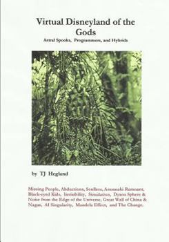 Paperback Virtual Disneyland of the Gods Book