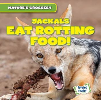 Jackals Eat Rotting Food!