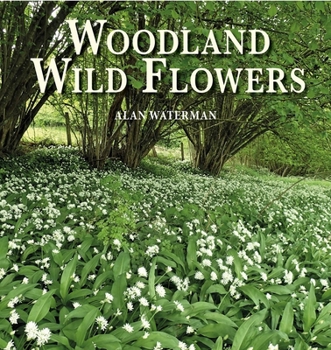 Woodland Wildflowers