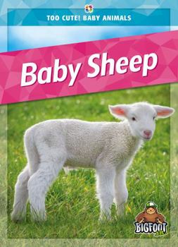Library Binding Baby Sheep Book