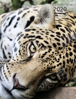 Paperback 2020 A4 Diary Week To View Planner For All Occasions: - Year Planner For Business, Office, Home, University, College, School, Appointments, Organizer. Book