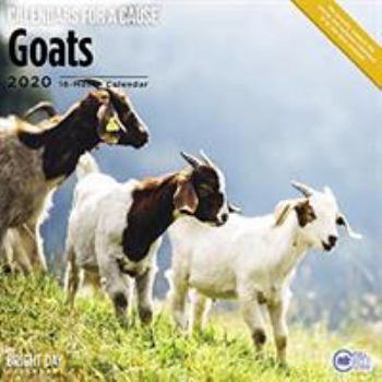 Calendar Goats Wall Calendar 2020 Book