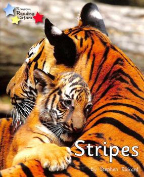 Paperback Stripes Book