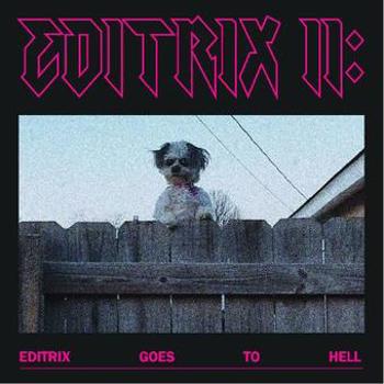 Vinyl Editrix Ii: Editrix Goes To Hell Book