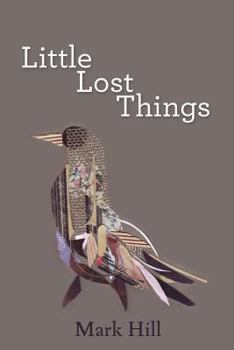 Paperback Little Lost Things Book